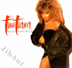 LP - Tina Turner - Break Every Rule
