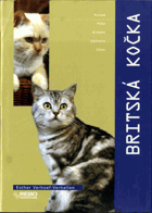 Britská kočka
