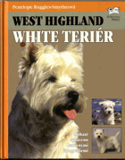 West Highland white teriér