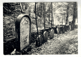 Podbřezí - Starý židovský hřbitov na Skalce (pohled)