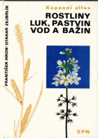 Rostliny luk, pastvin, vod a bažin