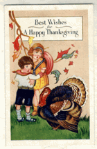 Best Wishes for A Happy Thanksgiving (pohled)