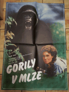 Filmový plakát - Gorily v mlze A1