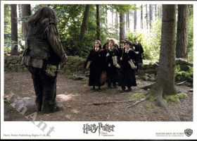 Fotoska - Harry Potter a vězeň z Azkabanu