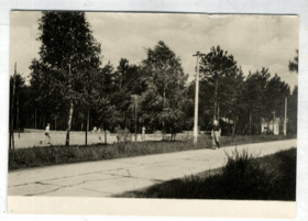 Kersko (pohled)