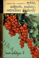 Rybíz, angrešt, maliny, ostružiny a jahody