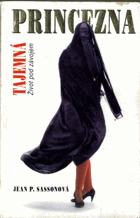 Tajemná princezna