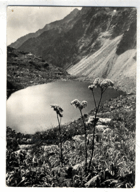 Vysoké Tatry - Malé Hlincovo pleso v Mengusovskej doline (pohled)