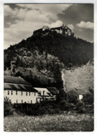 Hrad Točník (pohled)