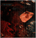 LP - Mike Oldfield - Earth Moving
