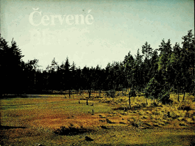 Červené blato