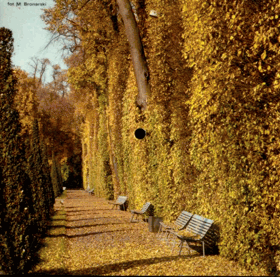 Fonokarta Lennon - McCartney - Two Of Us