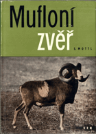 Mufloní zvěř - Biologie a chov