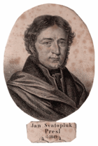 Jan Svatopluk Presl