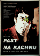 Filmový plakát - Past na kachnu