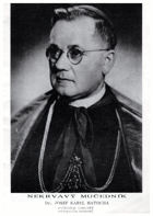 Nekrvavý mučedník Dr. Josef Karel Matocha, arcibiskup olomoucký, metropolita moravský