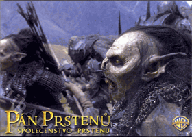 Fotoska - Pán Prstenů - Společenstvo Prstenu