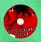 DVD - Příliš dokonalá podoba