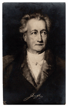 Johann Wolfgang Goethe (pohled)