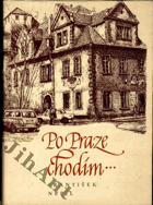 Po Praze chodím