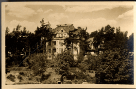 Hamr na Jezeře, vila (pohled)