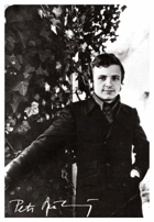 Petr Spálený (pohled)