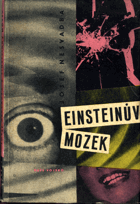 Einsteinův mozek