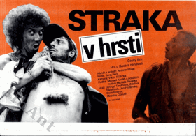 Filmový plakát - Straka v hrsti