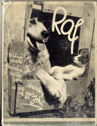 Raf - Obrázkový deník bernardýna Rafa, kočky Míny a malé Krasavice, foxteriéra Ferdy a ...