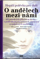 Slepičí polévka pro duši - O andělech mezi námi