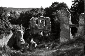 Mladá Vožice - Zřícenina hradu Šelmberk (pohled)
