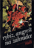 Rybíz, angrešt na zahrádce