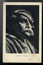 Jan Žižka z Trocnova (pohled)