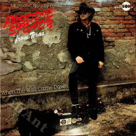 LP -  Freddie Steady ‎– When The Wall Came Down