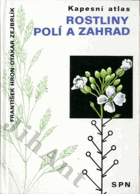 Rostliny polí a zahrad