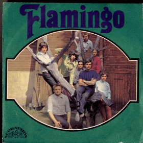 SP - Flamingo - Růžový kabát, Namaluj můj svět