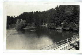 Rychnov nad Kněžnou - Jezero v lese Včelném (pohled)