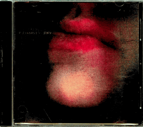CD - P J Harvey - Dry