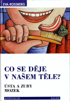 Co se děje v našem těle?