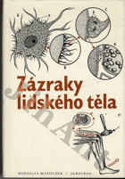 Obálka