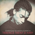 LP -  Introducing The Hardline According To Terence Trent D'Arby