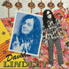 LP -  David Lindley ‎– Mr. Dave