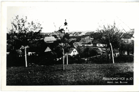 Třebechovice pod Orebem (pohled)