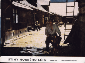 Filmové fotografie - Stíny horkého léta