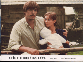 Filmové fotografie - Stíny horkého léta