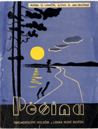 Pěšina