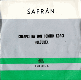 SP - Šafrán - Dáša Voňková - Chlapci na tom horním kopci, Holoubek