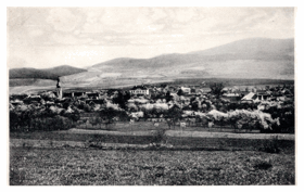 Lhenice - Šumava (pohled)