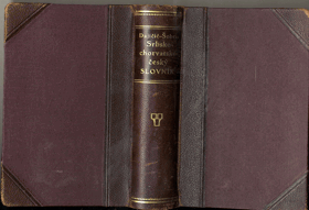 Srbsko-chorvatsko-český slovník