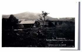 Šumava - Špičák s hotely Rixi a Prokop (pohled)
